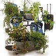S.O.S. Mobile Gardens