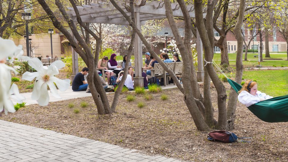 Students gathering on campus in springtime.