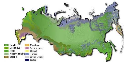 What are the natural resources of the taiga?
