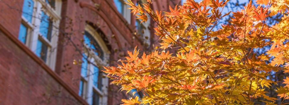 Old Main hall with a tree in front of it in autumn.