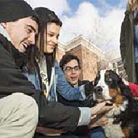 Photo of students petting a dog