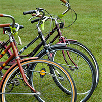 Photo of three bikes