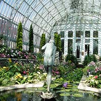 Photo of the interior of the Como Zoo Conservatory