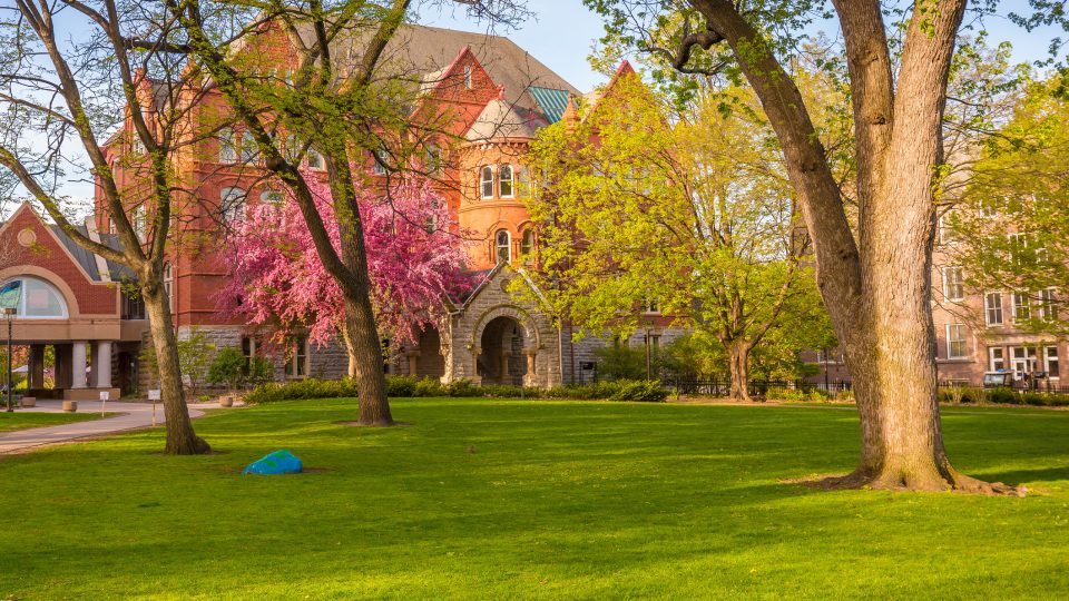 The Macalester Great Lawn in springtime.