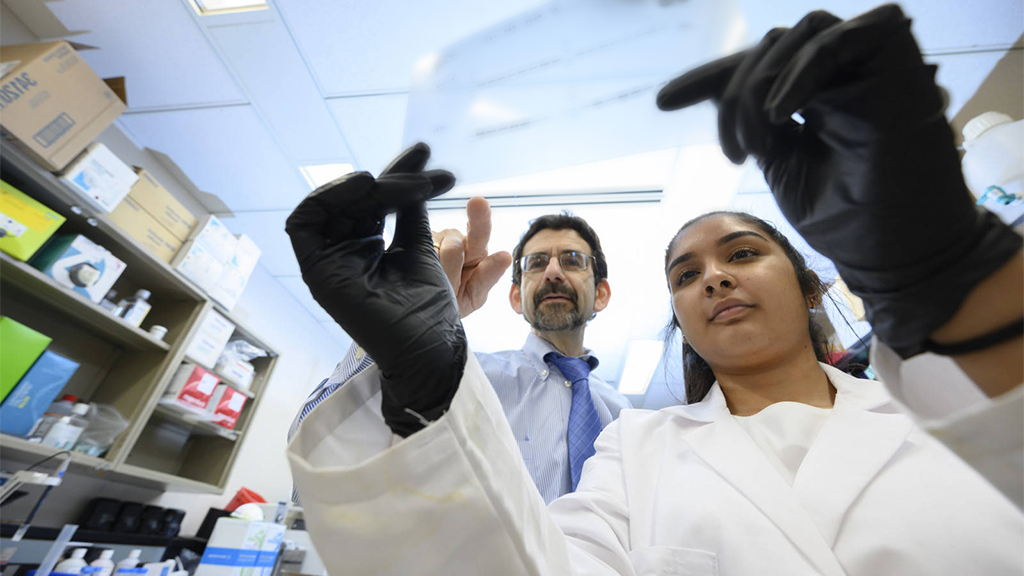 Macalester student and professor in lab