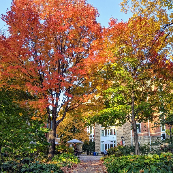 Fall at Macalester