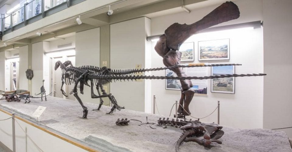 Dinosaur at Macalester