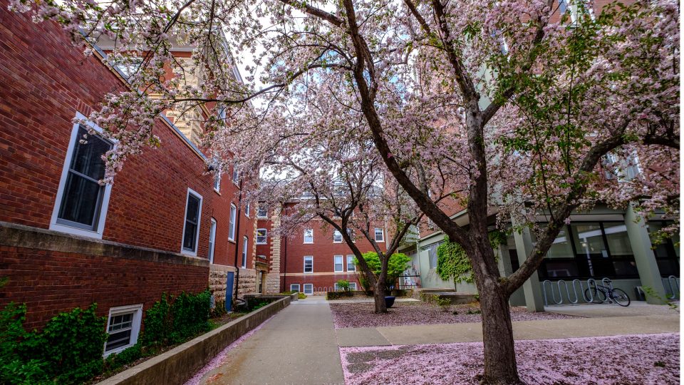 Spring scene at Macalester