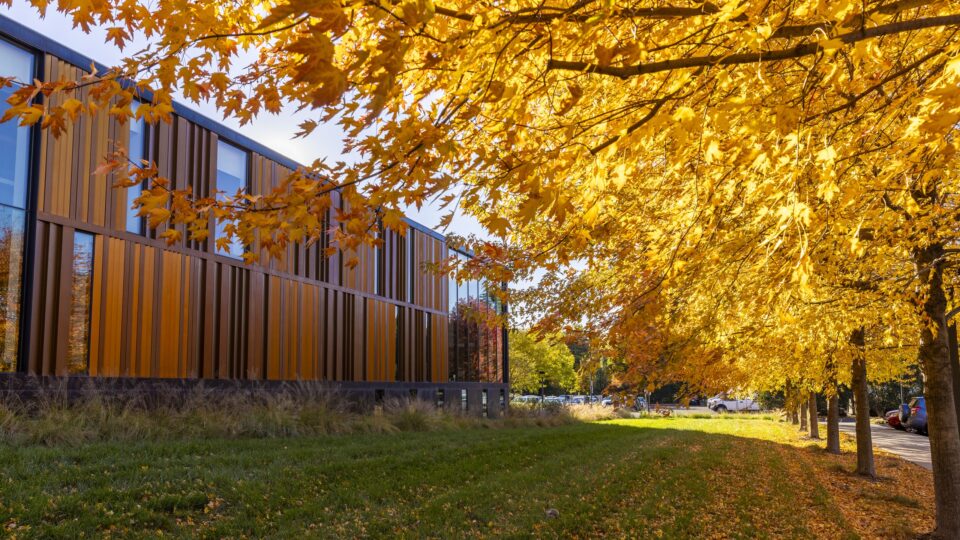 A Macalester building alongside golden fall leaves