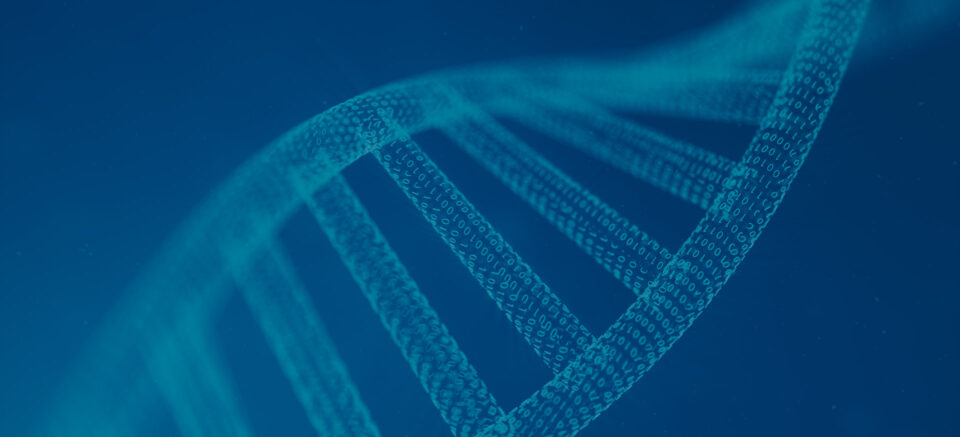 Graphic of a DNA double helix.