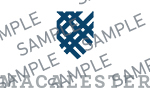 Logo blue with grey writing sample