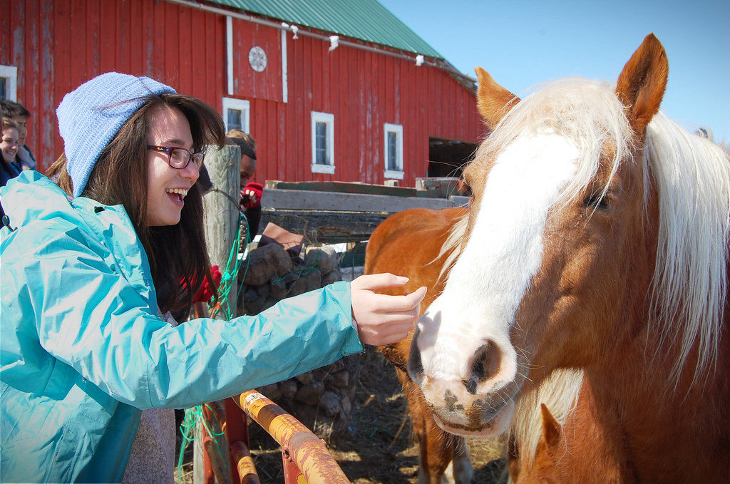 Student smiling and petting a horse's nose