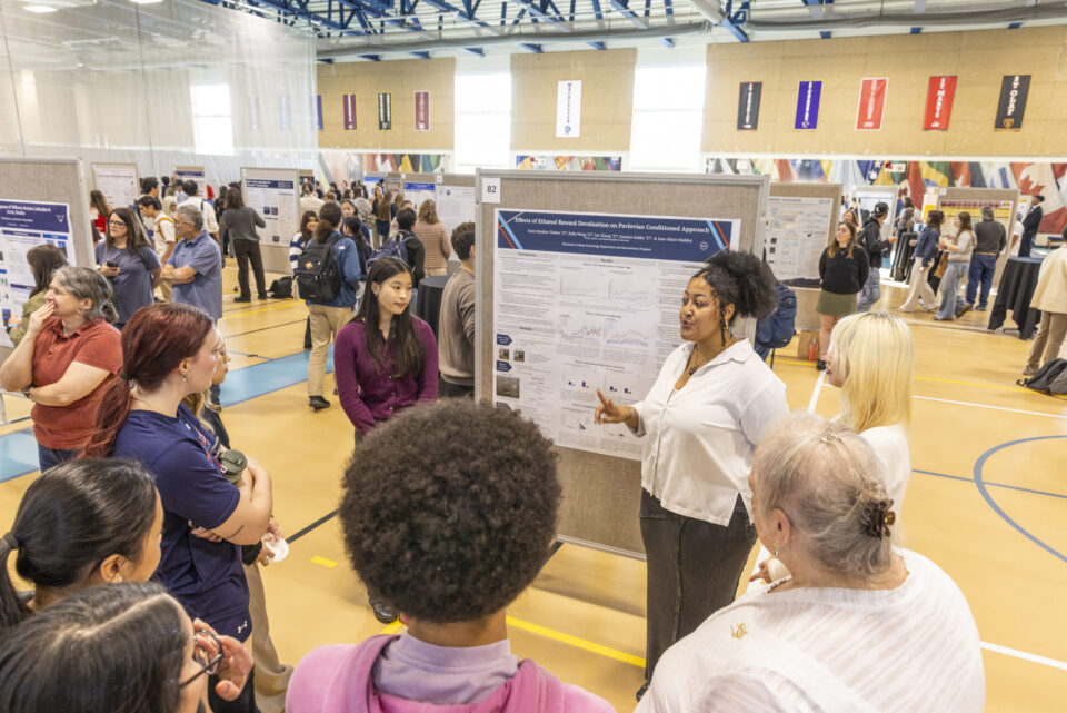 A research student presentation at summer showcase