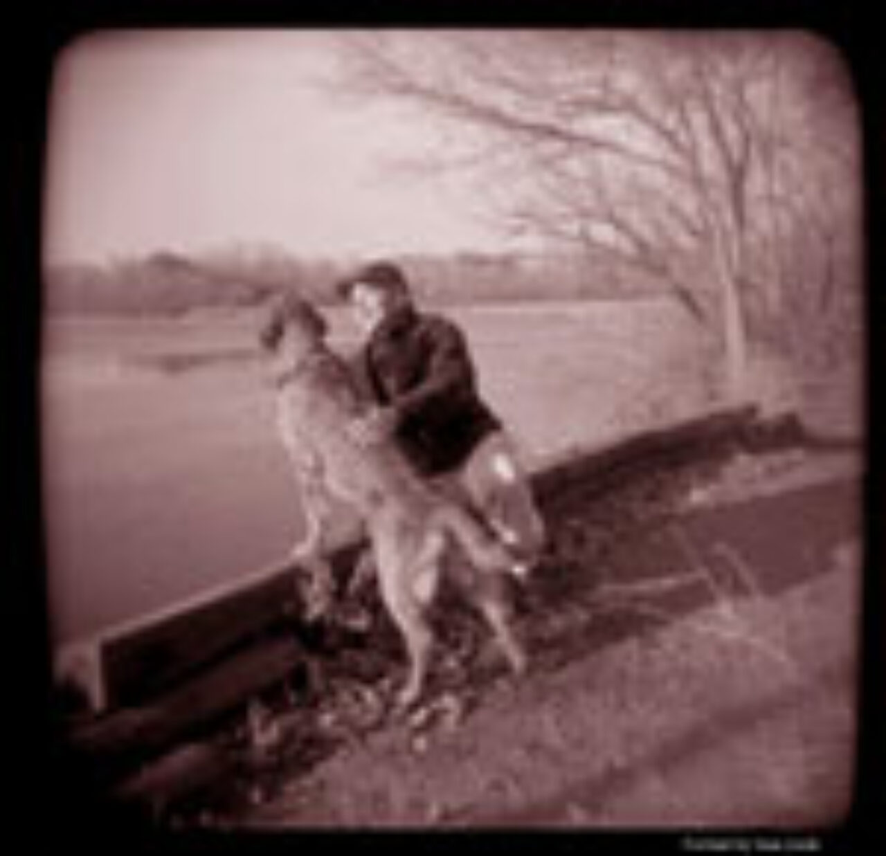 EnviroThursday Fall 2009 Environmental Studies Macalester College