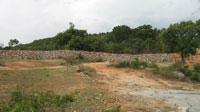 Bannerghatta National Park Bannerghatta National Park