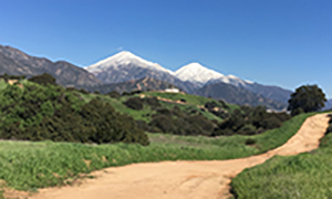 California Wildlands