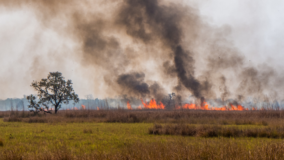 Grassland burning