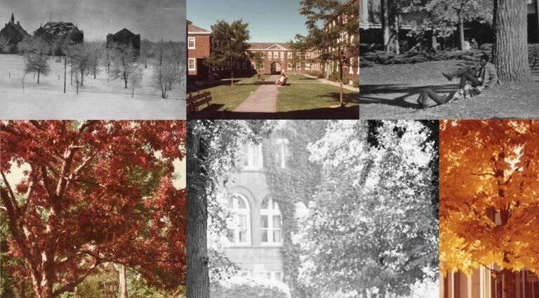A collage of six historical photos of trees on Macalester's campus.