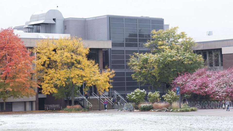 Fall colors in first snowfall