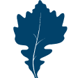 Blue leaf icon