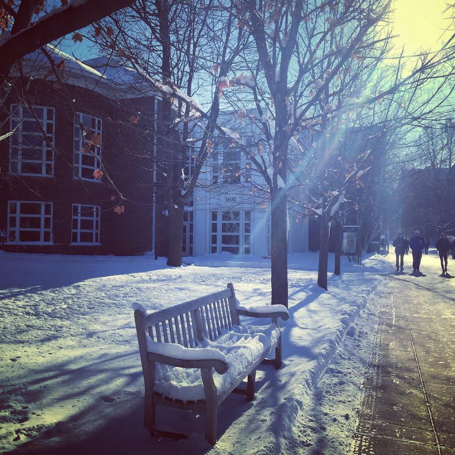 A snow-covered bench during the daytime on Macalester's campus