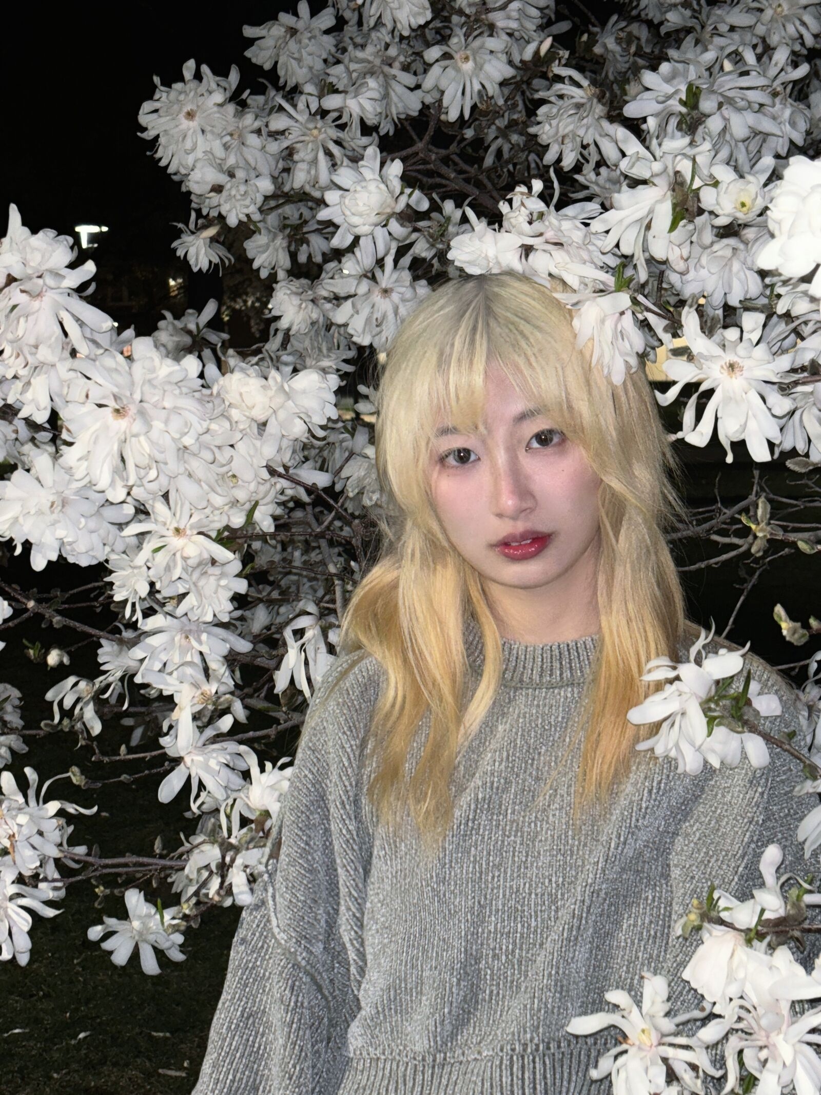 Photoshot of Iris Zhang