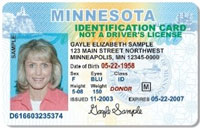 Driver’s License and State ID - International Student Programs