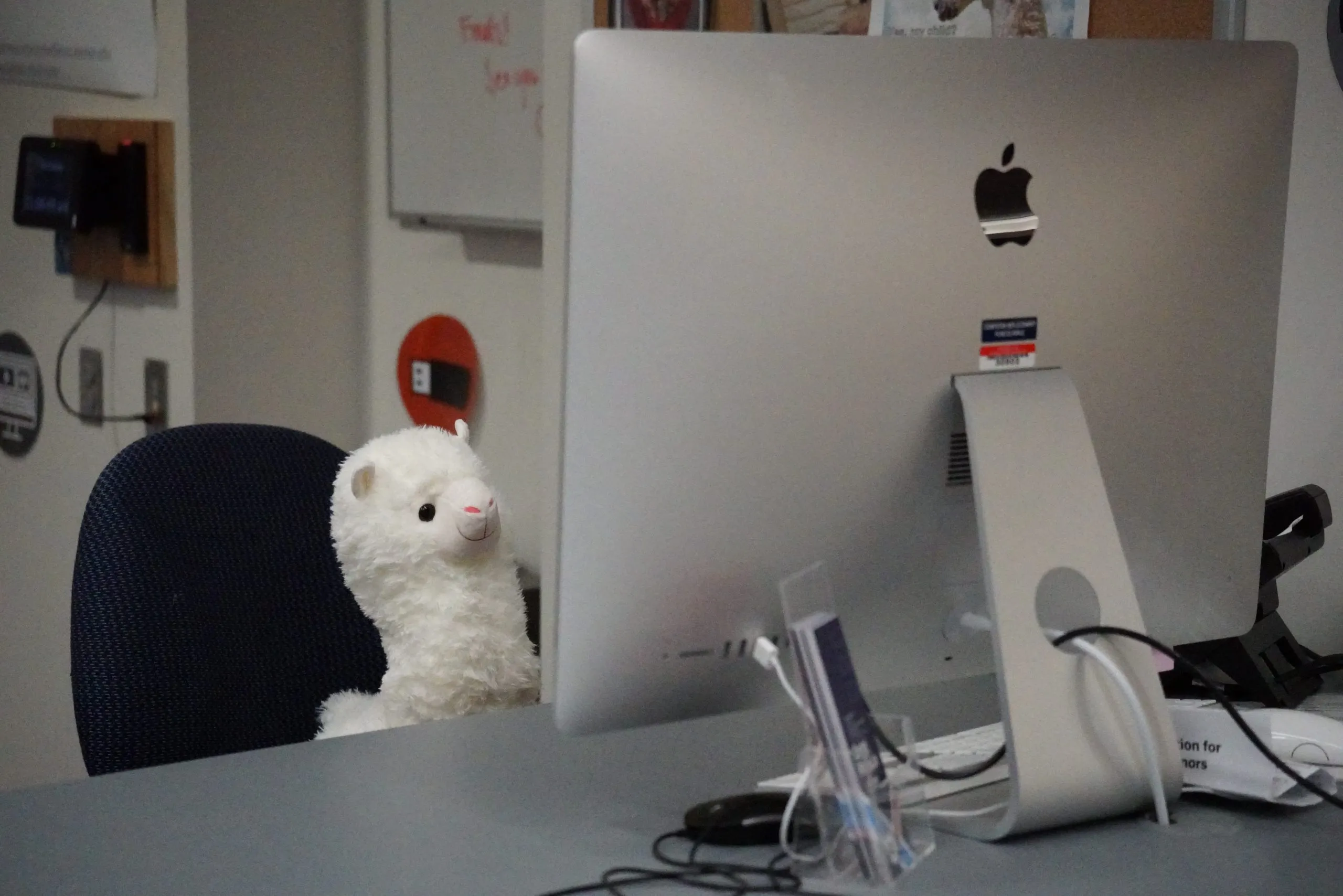 A plush llama sitting behind the front desk of the DRC