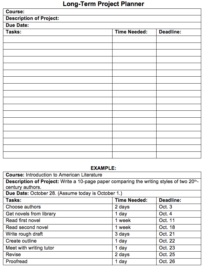 Long-term project planner with blank form and example