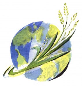 Macalester College Hosts International Roundtable on Globalization, Food, and Agriculture