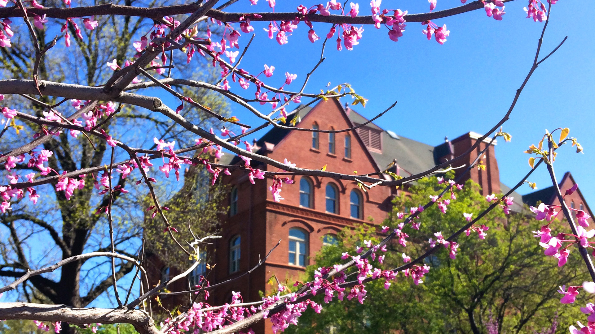 Spring at Macalester - News