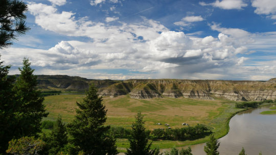 View of field area in Upper Missouri River Breaks National Monument