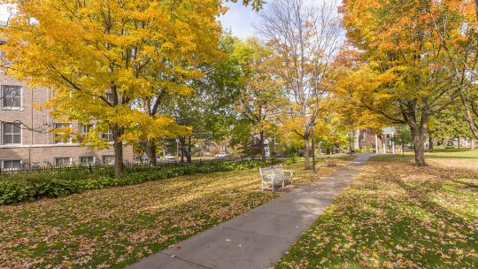 Photo of Macalester campus on an autumn day