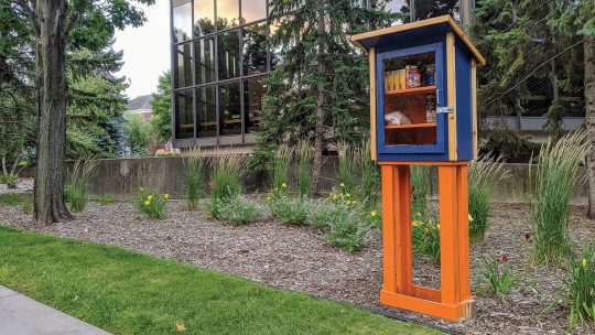 Photo of Macalester's Little Free Pantry