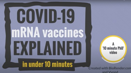 Screenshot reading COVID-19 mRNA Vaccines Explained