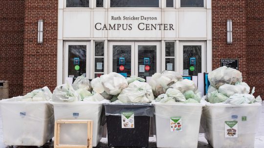 Photo of a row of full compost bins