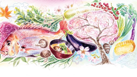 Illustration of Japanese food