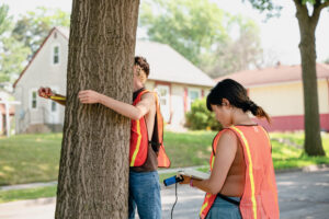 Students measure the circumference of a tree and record their findings