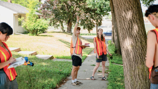 A professor and three students, all wearing orange vests, study trees along the sidewalk. One student is looking up and pointing. Another appears to be taking notes.