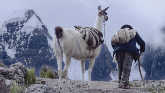 A man and an alpaca scale a mountain in this scene from Wiñaypacha (Eternity).