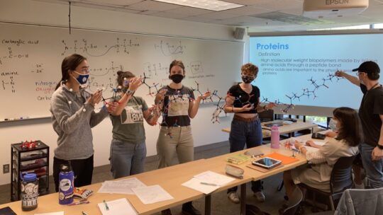 Students in a chemistry class holding protein molecule models with diagrams and a Proteins slide in the background.