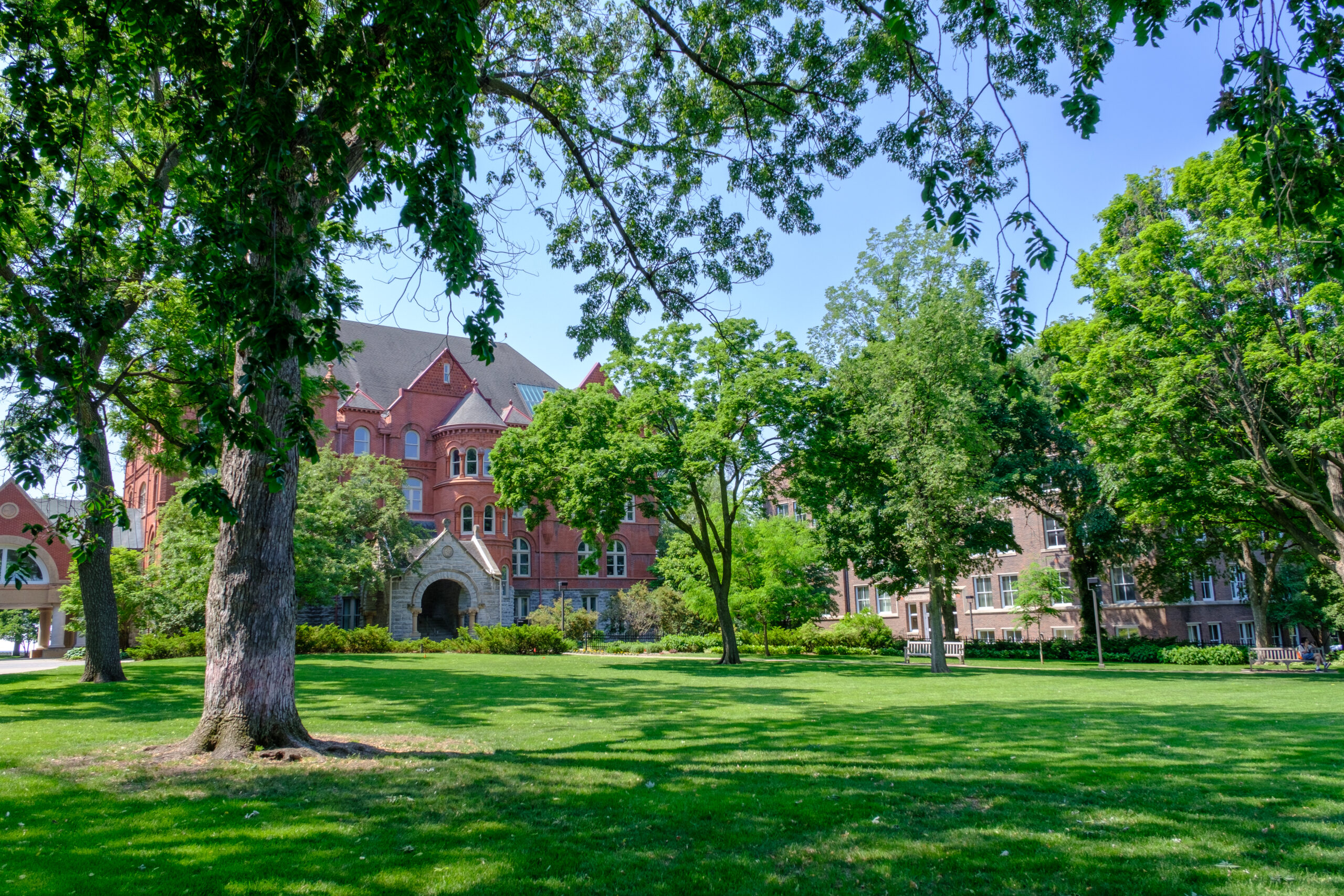 Macalester campus outside in the summer, with green trees and lawn