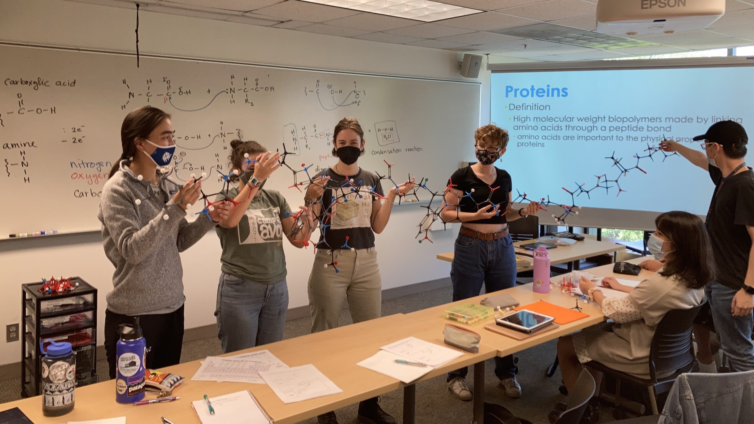 Students in a chemistry class holding protein molecule models with diagrams and a Proteins slide in the background.
