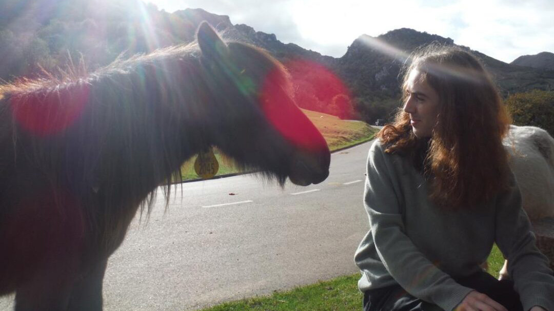 Student looks at a small horse