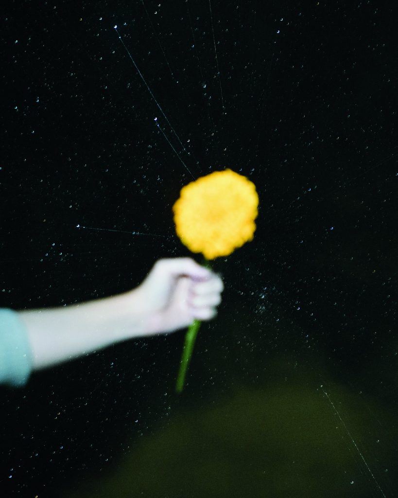 A flash-washed hand holds a marigold out in the dark of night.