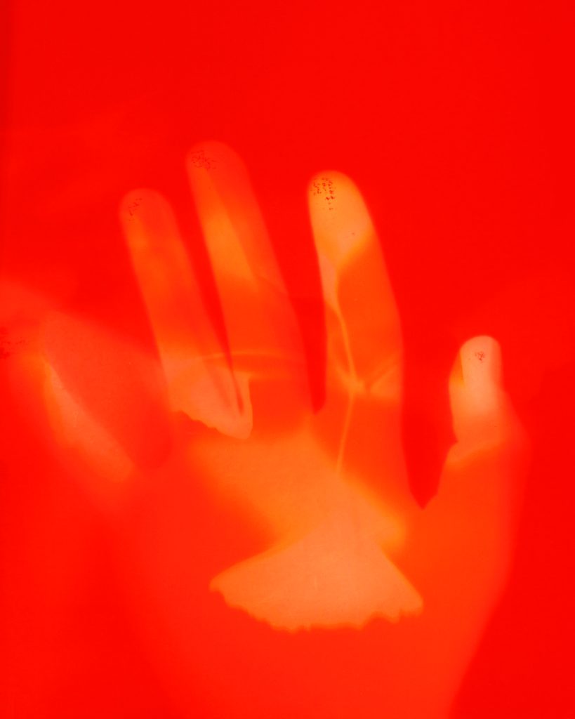 An imprint of a hand, which was captured without using a camera by exposing light-sensitive color darkroom paper directly to the hand.