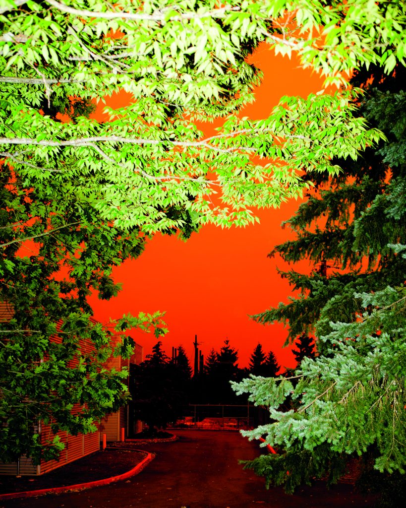 A lurid neon orange sky is framed by flash-washed tree branches after the wildfires in Oregon.