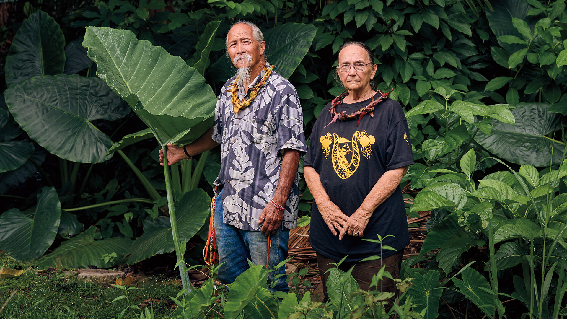 Calvin Hoe '67 and Charlene Hoe '68 standing in their yard in Hawaii. The large plants besides them are taro, which they farmed upon arriving in Hawaii after their college graduation.