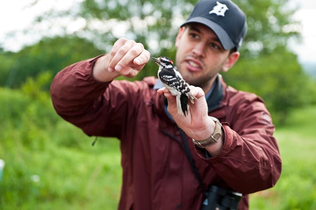 Person with a black and white perched on their finger