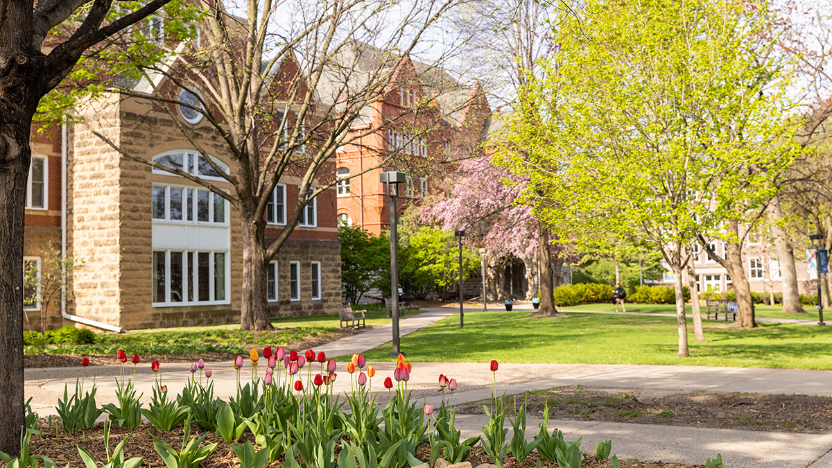 Red tulips bloom in front of the Macalester library building